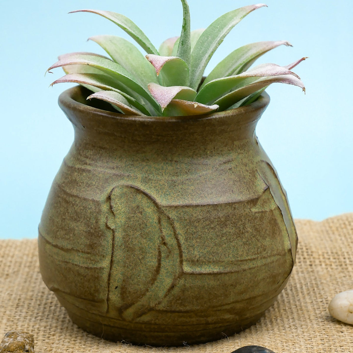 SH-46 Pt Matcha Matte | Seattle Pottery Supply