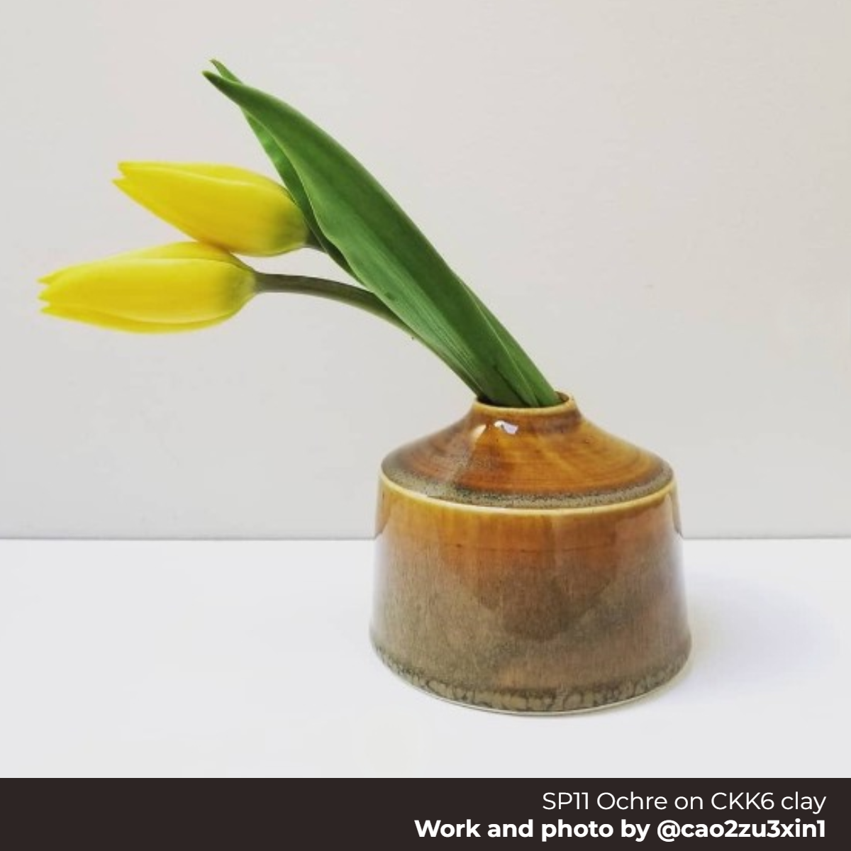 SP11 - Ochre | Seattle Pottery Supply