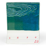 SW224 Tropical Teal