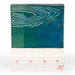 SW224 Tropical Teal