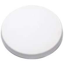 SPS Plaster Bats 18 in