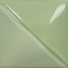 Eucalyptus