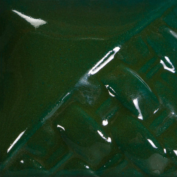 SW509- Dark Green Gloss