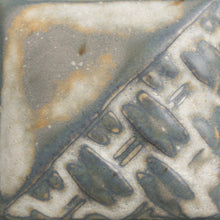 SW197- Fossil Rock