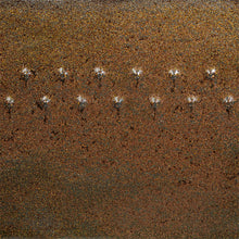 PC-69 Cosmic Gold Dust
