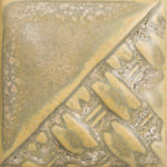 SW197- Fossil Rock