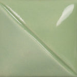 Eucalyptus