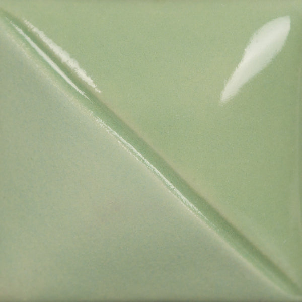 Eucalyptus