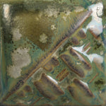 SW193- Ivy