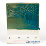 SW224 Tropical Teal