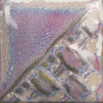 SW196- Sand Dollar