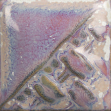 SW196- Sand Dollar