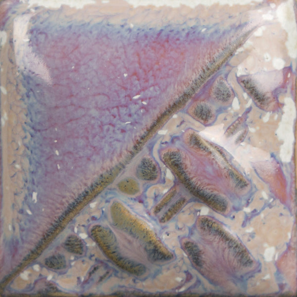 SW196- Sand Dollar