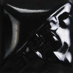 SW508- Black Gloss