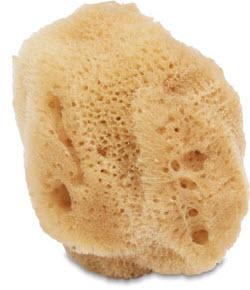 (S) Natural Silk Sponge 2.5