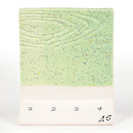SW221 Mint Speck