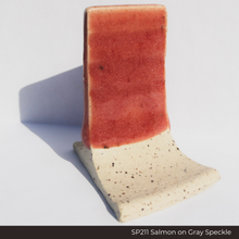 SP211 - Salmon