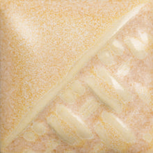 SW196- Sand Dollar