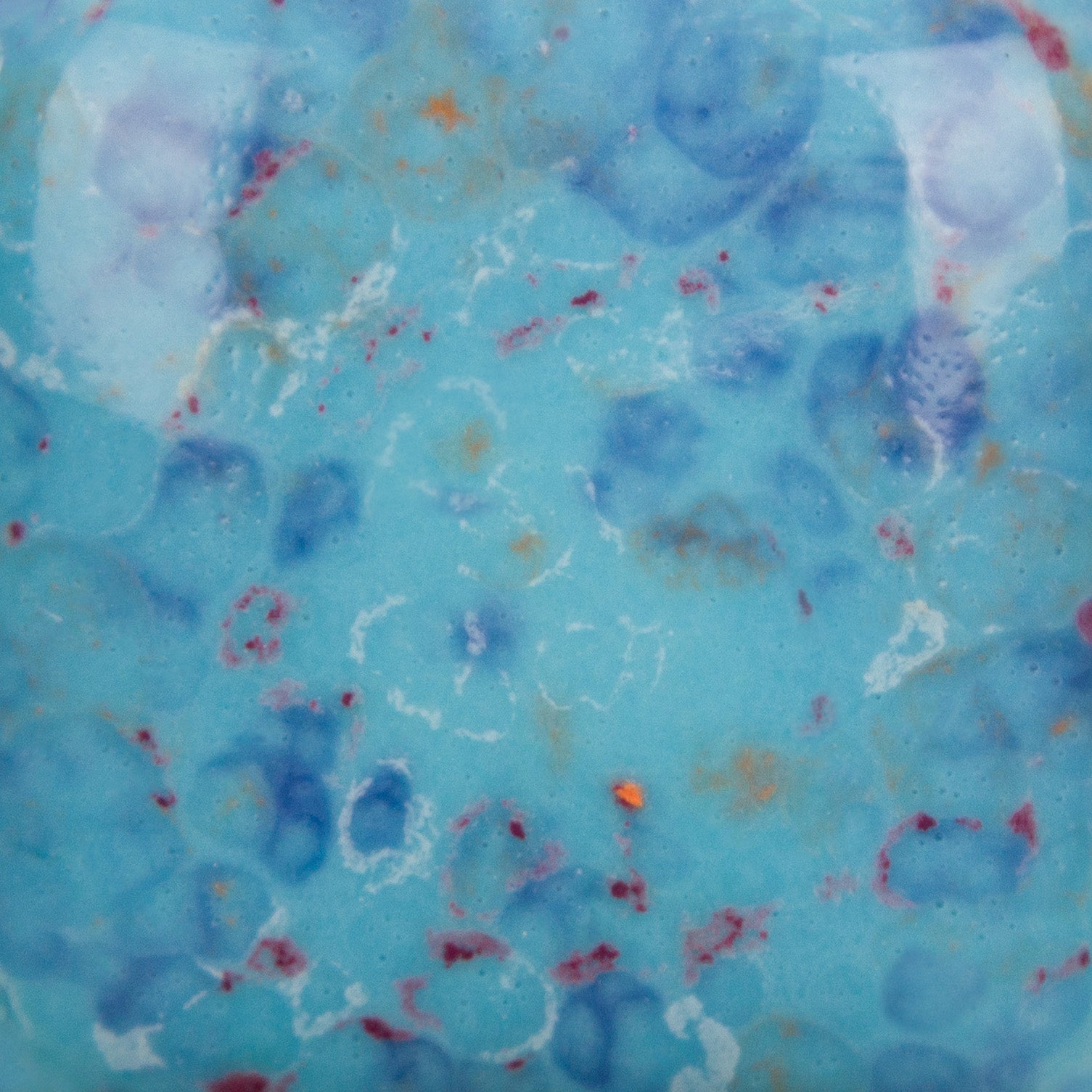 SP2105 - Stroke & Coat® Speckled Tic Tac Turquoise | Seattle