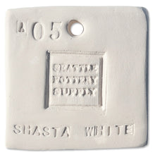 SP505 Shasta White