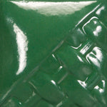 SW509- Dark Green Gloss