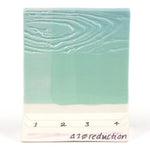SW514 Sage Gloss