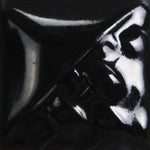 SW508- Black Gloss