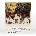 SW222 Green Jasper