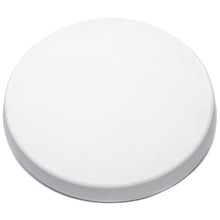 SPS Plaster Bats