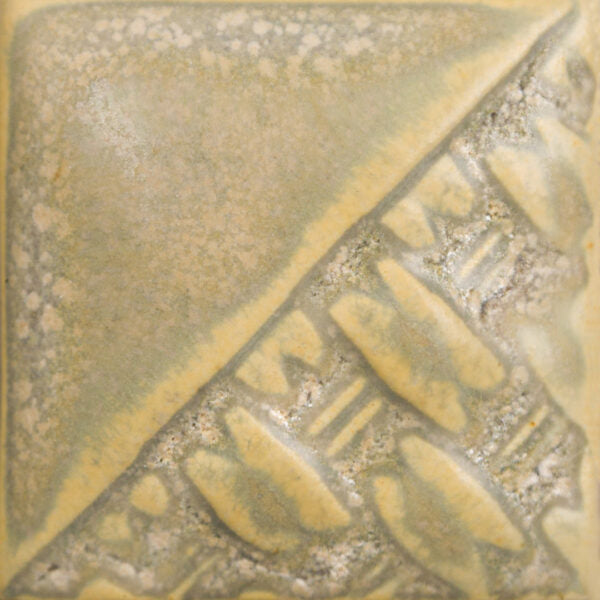 SW197- Fossil Rock