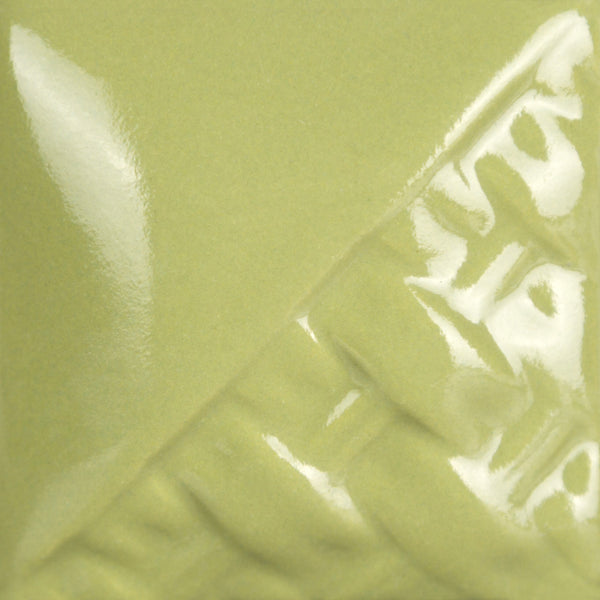 SW514 Sage Gloss