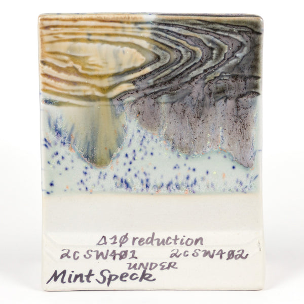 SW221 Mint Speck
