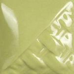 SW514- Sage Gloss
