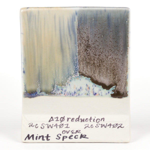 SW221 Mint Speck