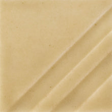 FN204 - Mudpuddle Brown