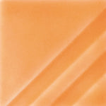 FN207 - Orange Slice