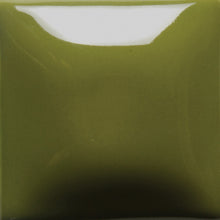 FN021 - Olive Green Foundations