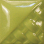 SW507 - Bright Green Gloss